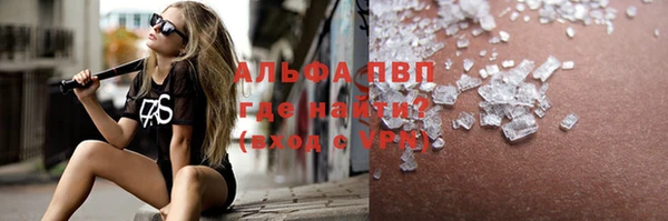 индика Алексин