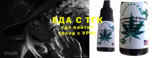 индика Алексин