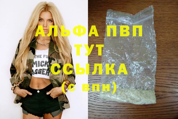 индика Алексин