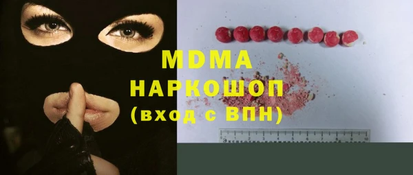 индика Алексин