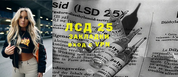 индика Алексин