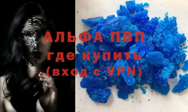 индика Алексин