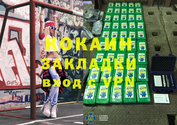 индика Алексин