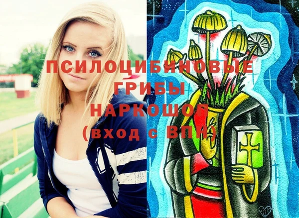 крисы Алексеевка
