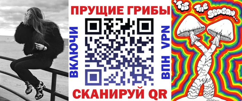 где купить наркотик  мега сайт  Псилоцибиновые грибы Psilocybine cubensis  Арамиль 